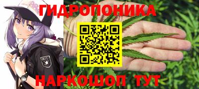 гашиш Аргун