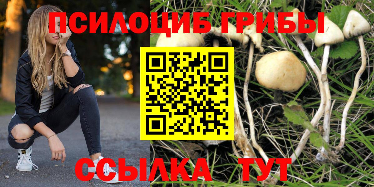 Галлюциногенные грибы Cubensis  наркотики  Вход с VPN  Топки  Галлюциногенные грибы прущие грибы 