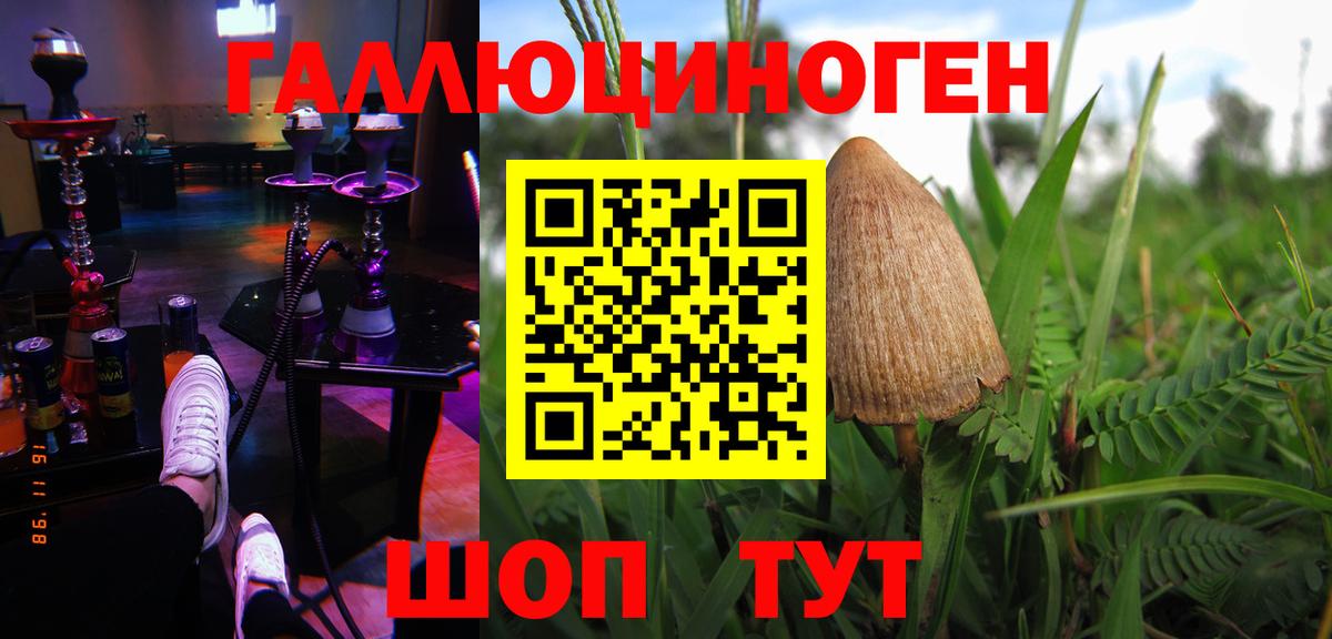 Псилоцибиновые грибы GOLDEN TEACHER Топки